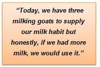 Milking goat for Raw Milk