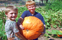 Big Max Heirloom Pumpkin Thumbnail