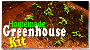 Homemade tomato seed starting greenhouse kit thumbnail