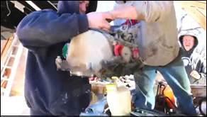 Engine Running Rough, Overheats, and Has Milky Oil - Pulling Engine top to get to Head Gasket