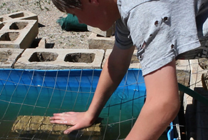 self water above ground install